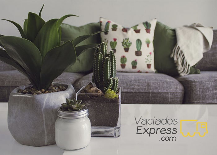 vaciados de casas express