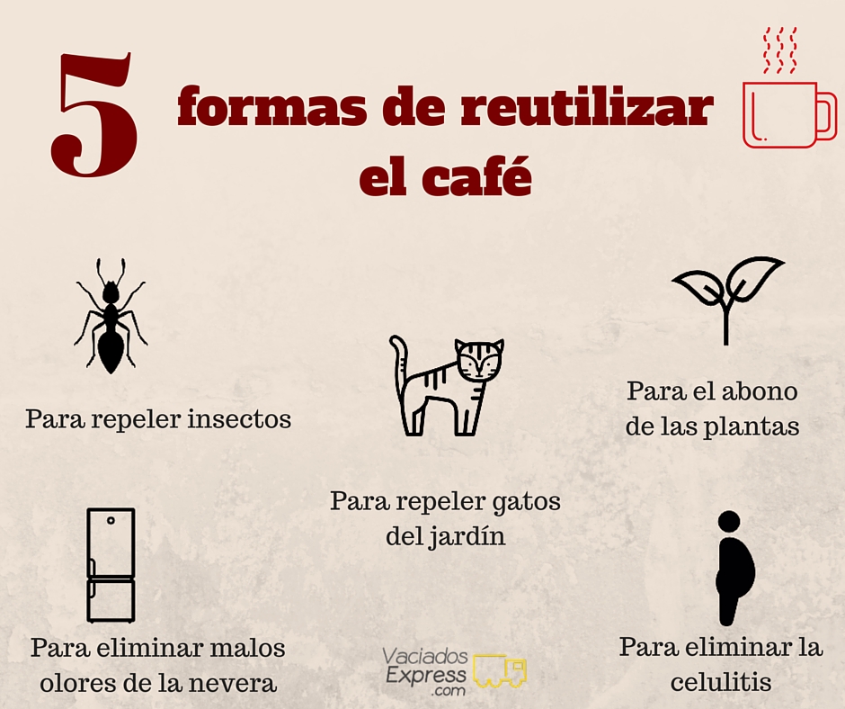 vaciados de casas express