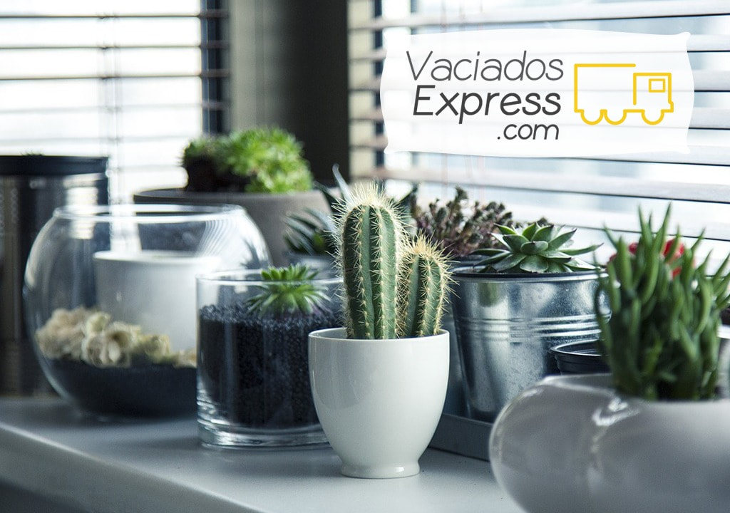 vaciados de casas express