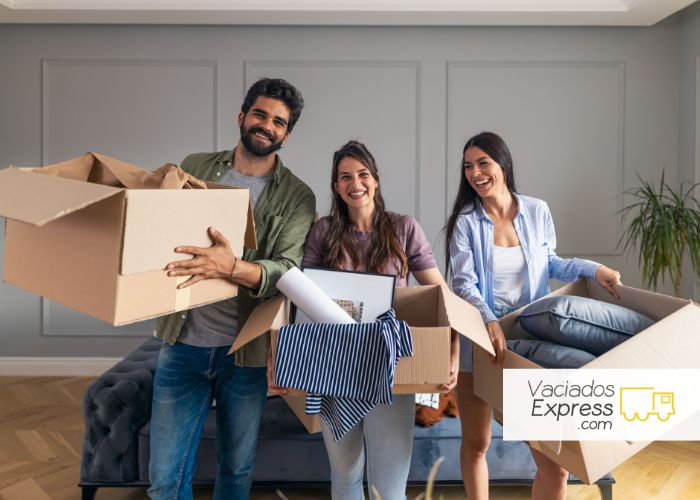 transportar muebles pesados